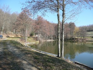 Etang de Saint Bonnet de Valclérieux